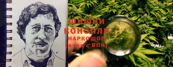 дмт Горнозаводск