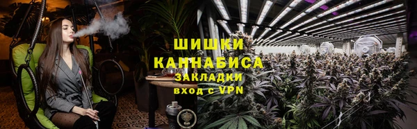 дмт Горнозаводск