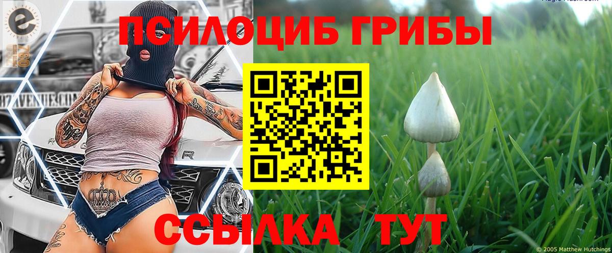 Галлюциногенные грибы прущие грибы Изобильный