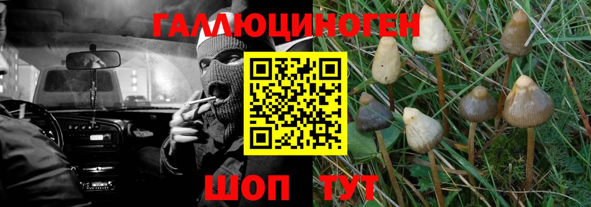 Изобильный  Галлюциногенные грибы ЛСД  Вход с VPN  Галлюциногенные грибы мицелий 